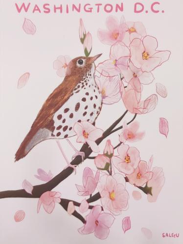 Greeting card with bird and cherry blossom on a white background