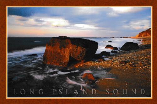 Lions Island Postcard.