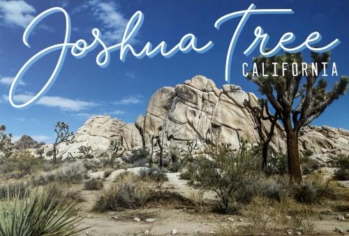 Joshua Tree National Park, California, United States of America, USA