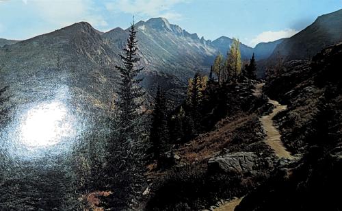 Mountain landscape with river and forest. Panoramic view.