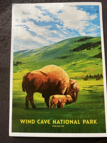 A postcard printed in Russia shows image of Bison (Bison bonasus).