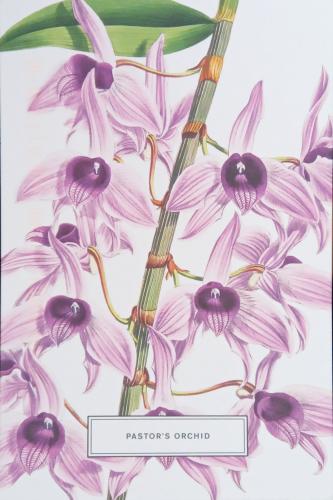 Watercolor painting of orchid flowers. Hand drawn botanical illustration.
