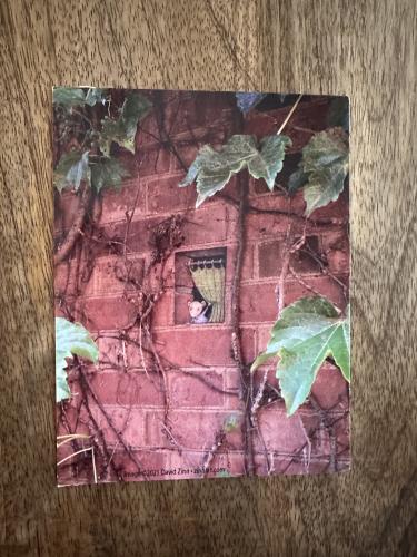 Vintage brick wall with ivy leafs and bird on it