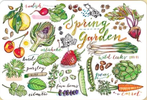 Vegetables and fruits set on white background. Hand drawn illustration.