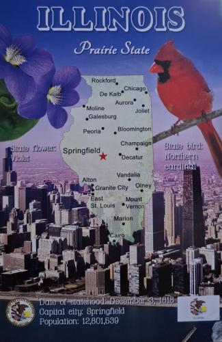 United States of America map featuring a cardinal bird