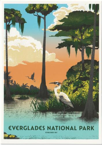 Vintage postcard with a picture of a great white egret in the swamp.