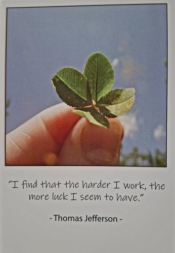 A leaf of a clover in the hand of a child.